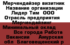 Мерчендайзер-визитник › Название организации ­ Лидер Тим, ООО › Отрасль предприятия ­ Мерчендайзинг › Минимальный оклад ­ 23 000 - Все города Работа » Вакансии   . Амурская обл.,Благовещенский р-н